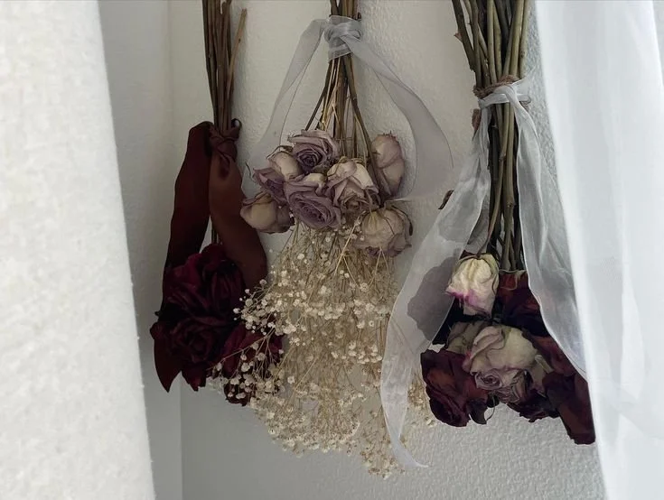 'To eat dying stars' — poetry by Juliet Cook