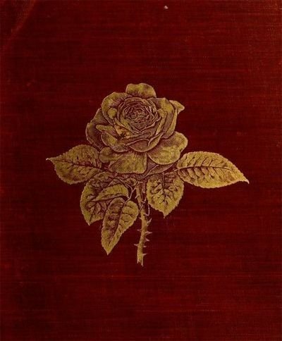 'lost in the  rapture of man' — poetry by Ian Berger 