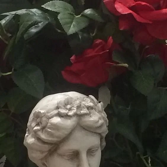 'the fever always holds' — poetry by Abbie Allison