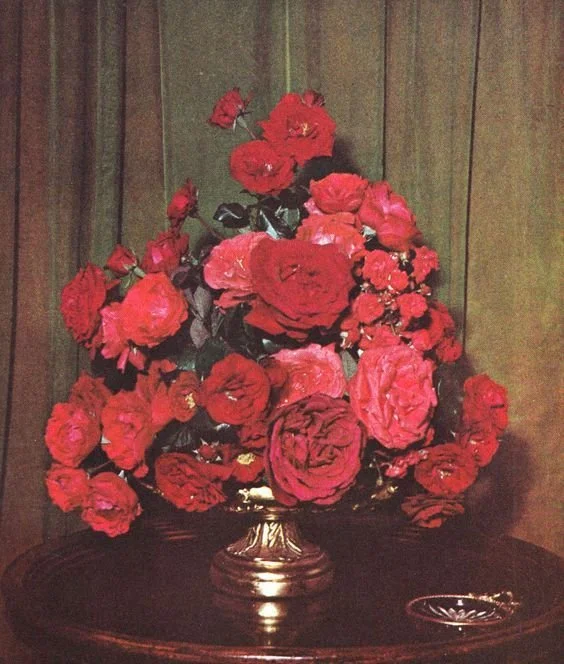 'In the doom tunnel' — poetry by Melissa Eleftherion 