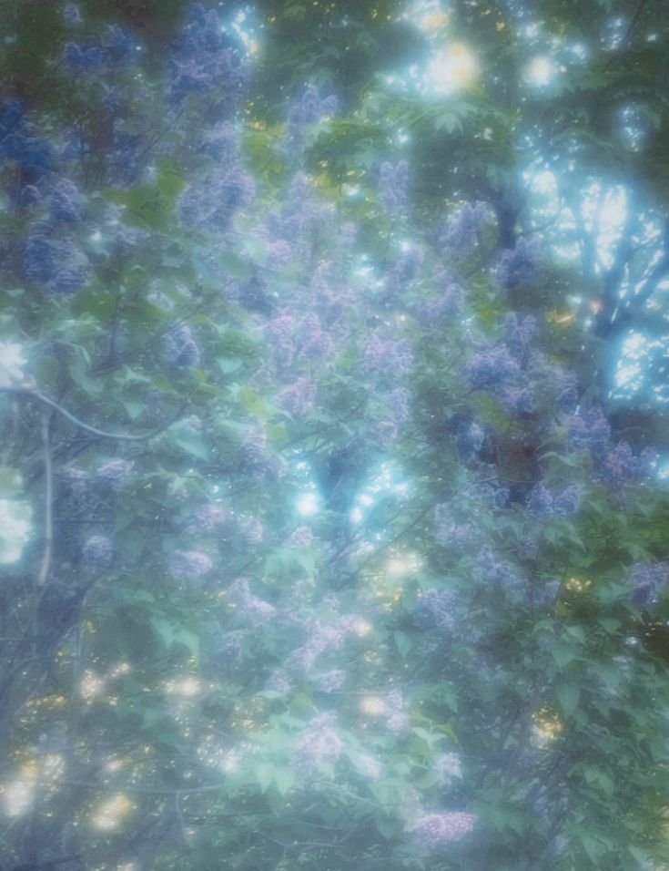 'Darling, clean up your heart' — poetry by Lavinia Liang