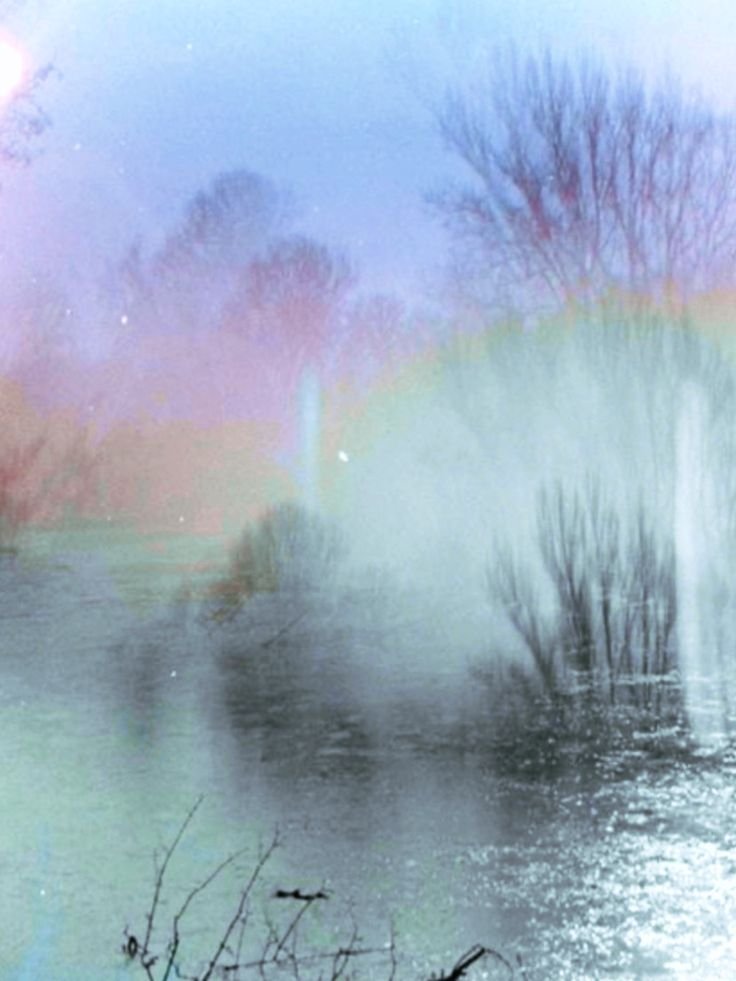 'Darling, clean up your heart' — poetry by Lavinia Liang