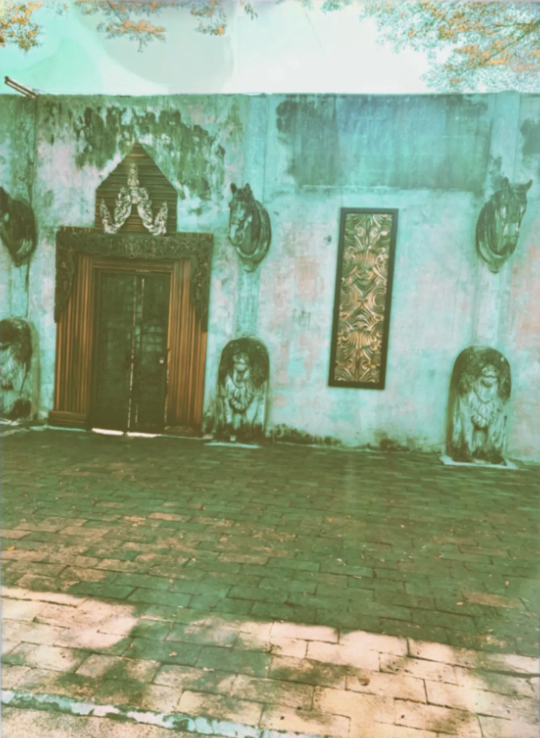 ' ghost of cinnamon,&nbsp;wet dog &amp; bog blood' — poetry by Trista Edwards