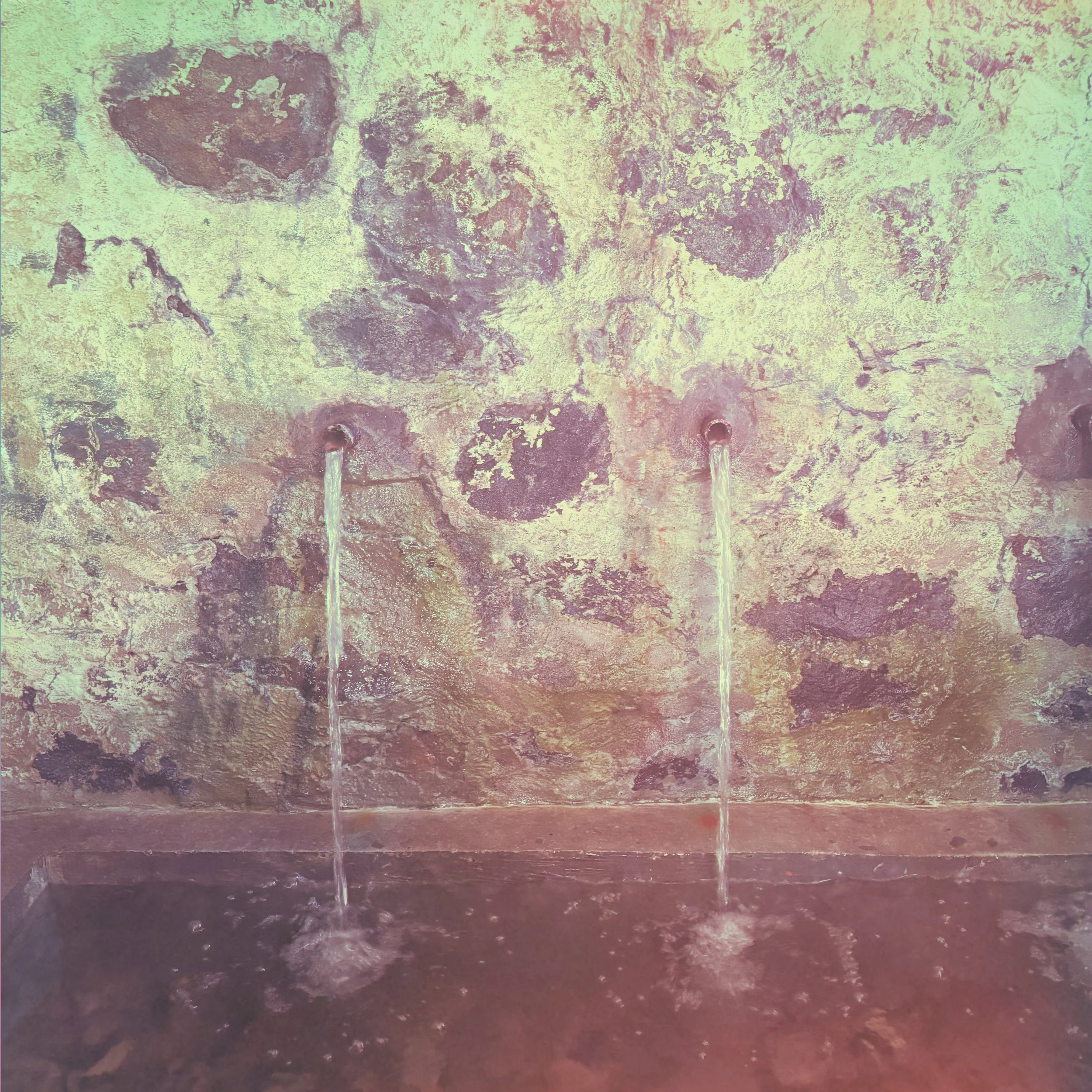 'beauty is the last thing before death' — poetry by Francis de Lima