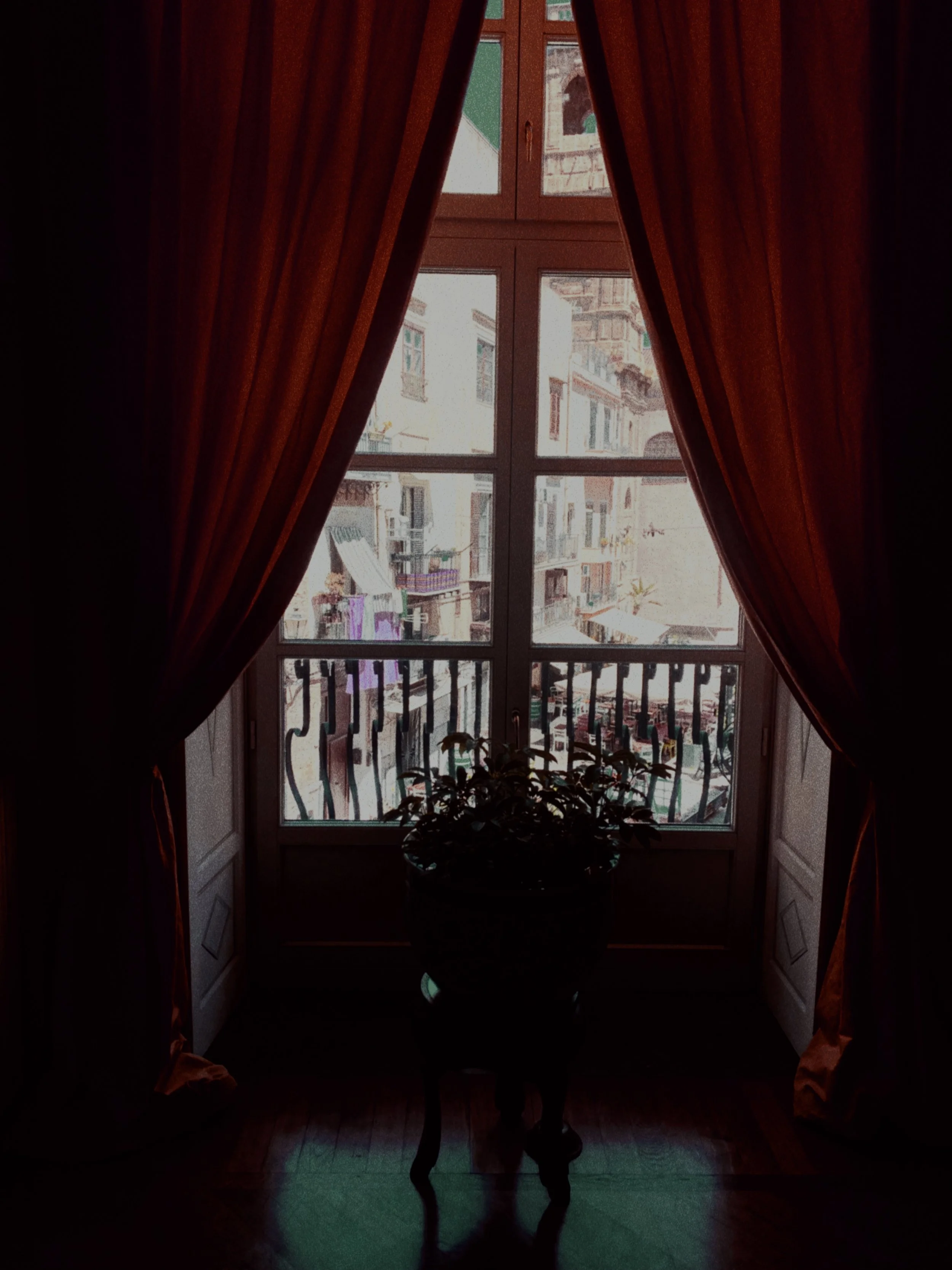 ' I am brutally killed by daffodils' — poetry by Emily Tong 