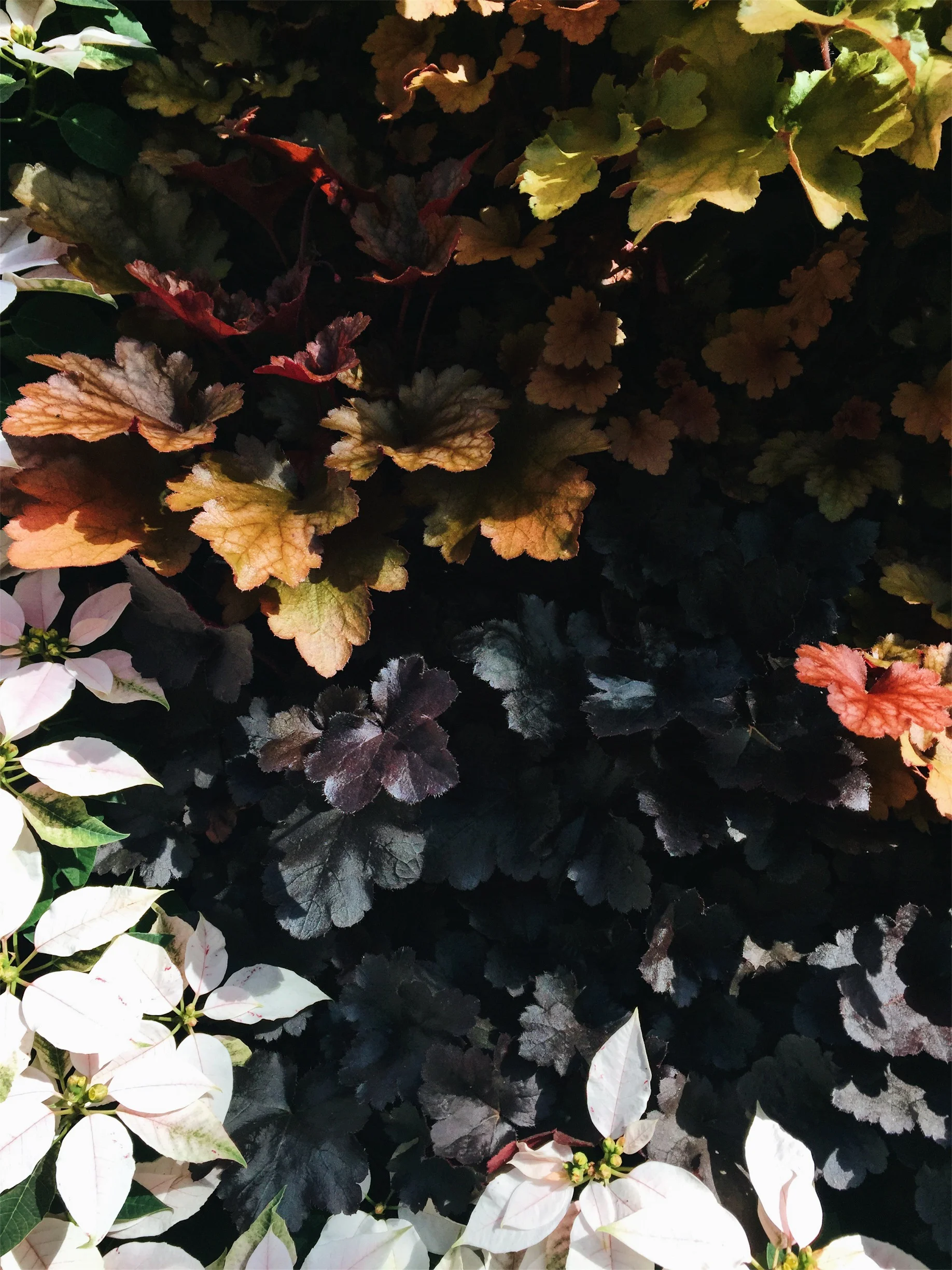 VSCO Cam-1.jpg