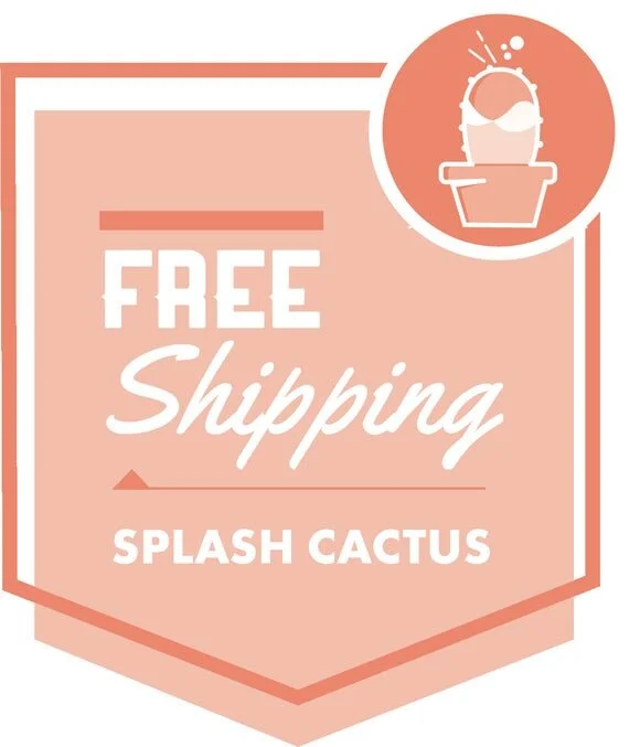 https://i.etsystatic.com/24133468/r/il/a58000/3127484820/il_570xN.3127484820_177v.jpg