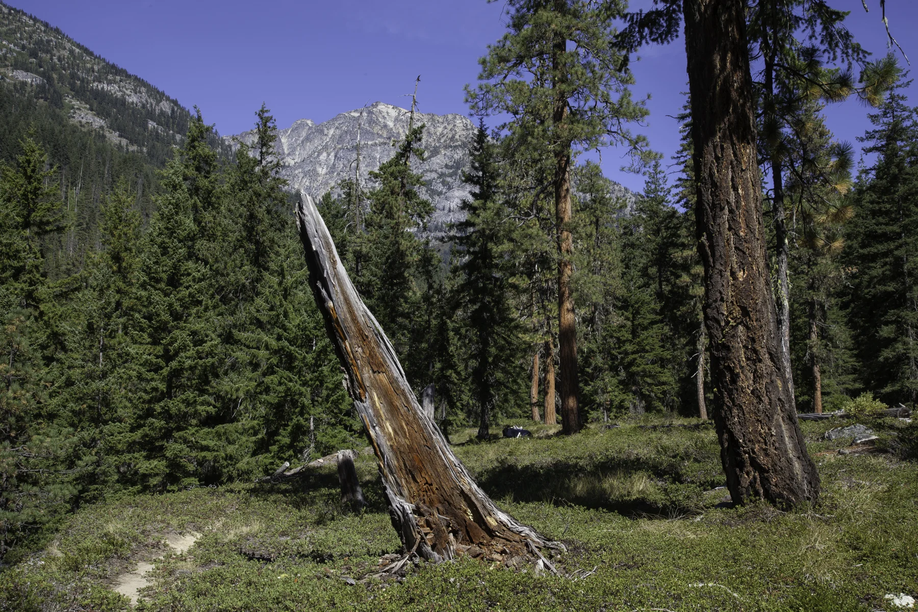 Stehekin near Bridge Creek