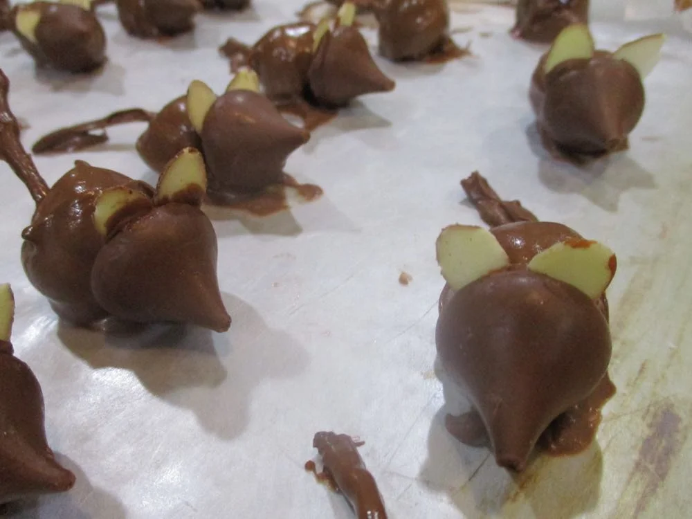 Chocolate mice close up include Almond slivers for ears.