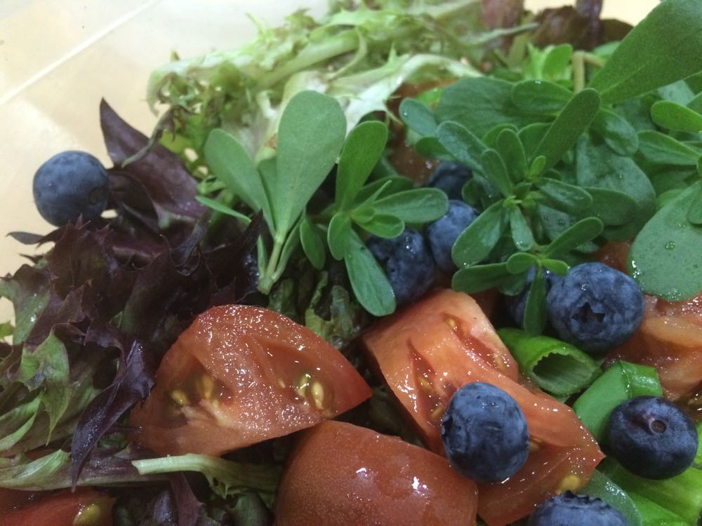 Purslane in salad.jpg
