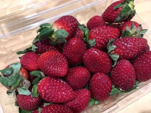 These fresh strawberries from Aldis are delicious but will quickly spoil. (Photo by Charlotte Ekker Wiggins)