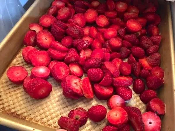 Cut up strawberries frozen and ready for packing in plastic bags. (Photo by Charlotte Ekker Wiggins)