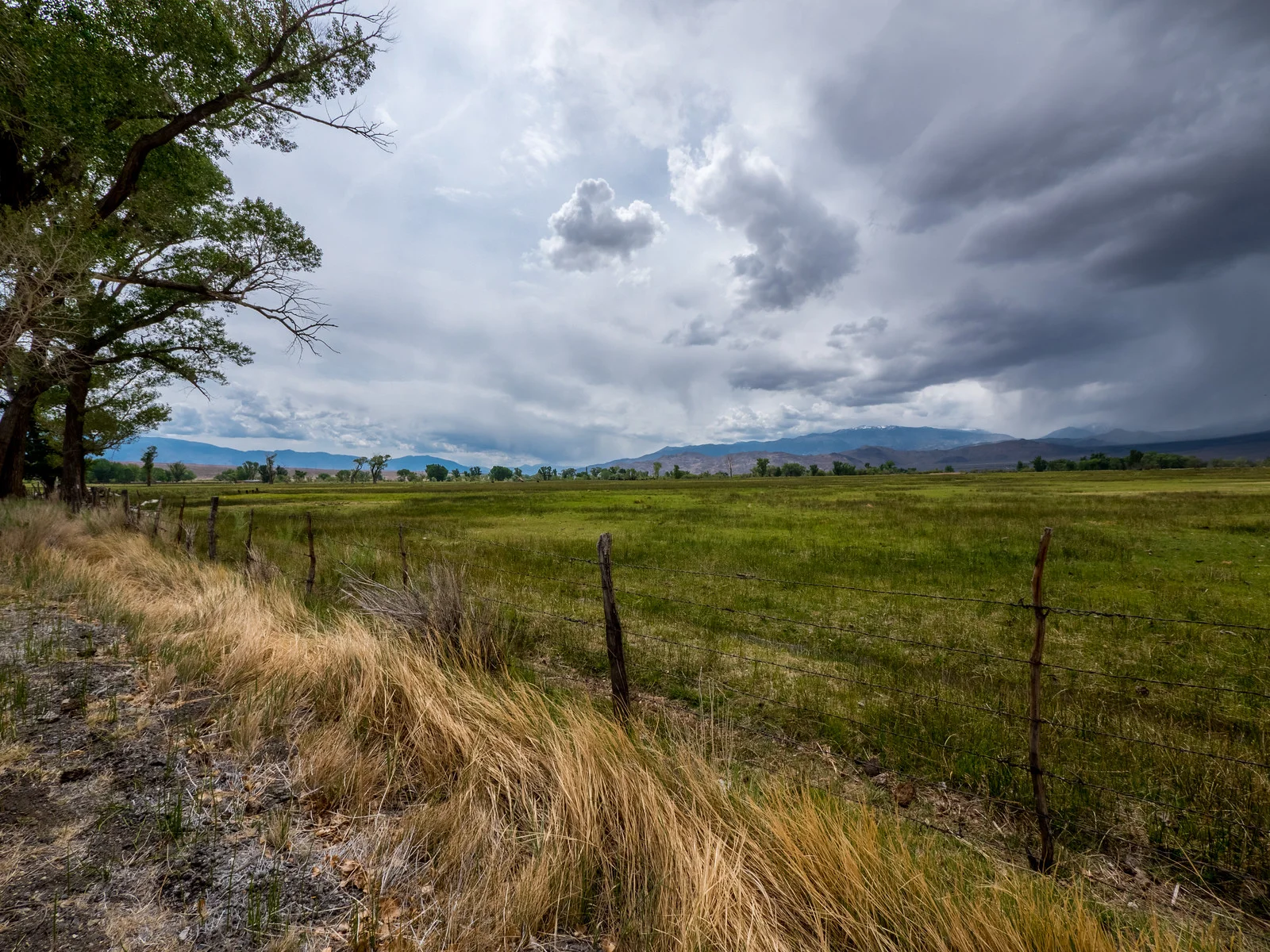 P1370094-HDR.jpg