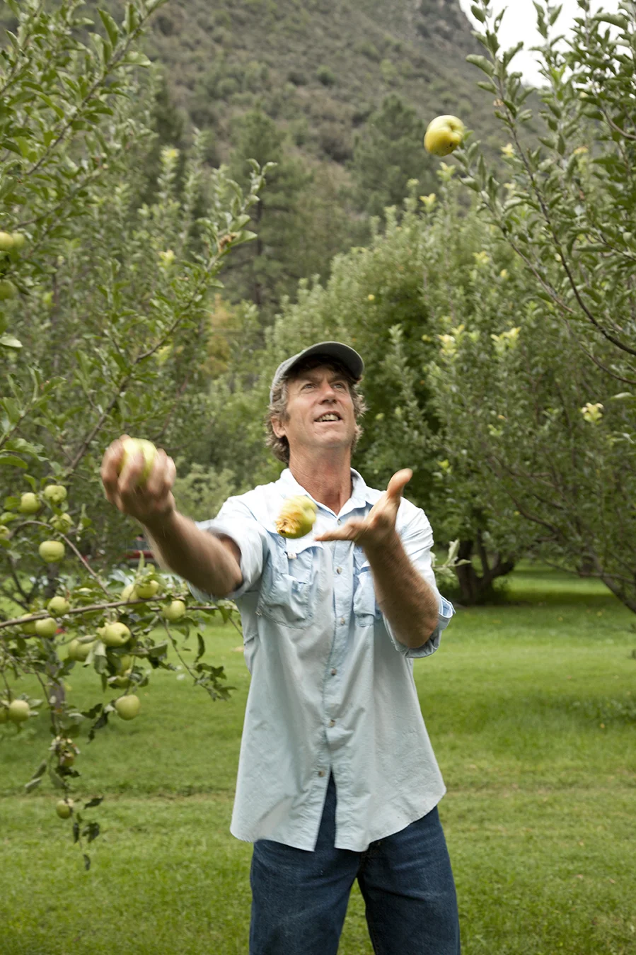 9-12_GarlandsOrchard_Stl_201.jpg