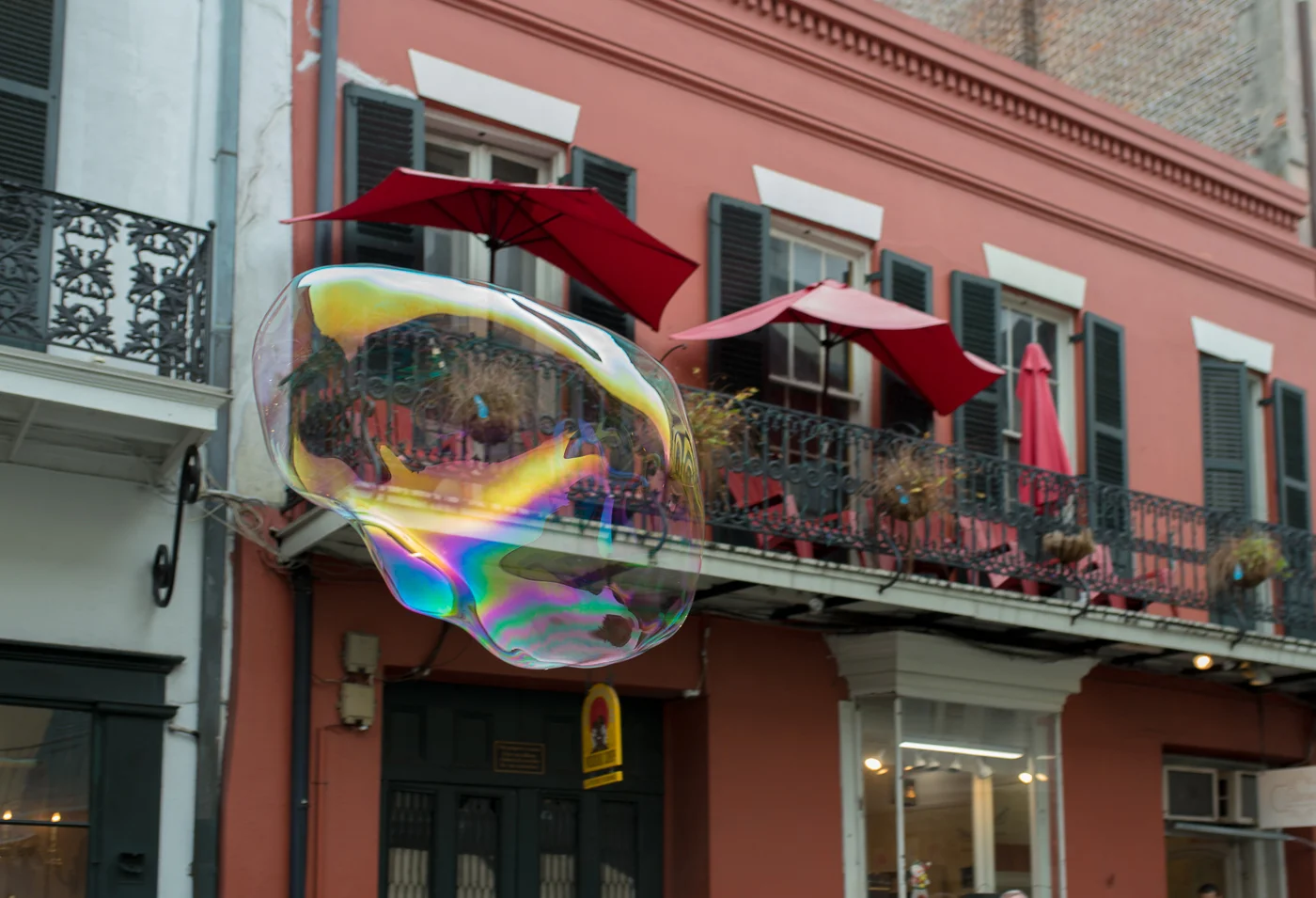 nola23.jpg