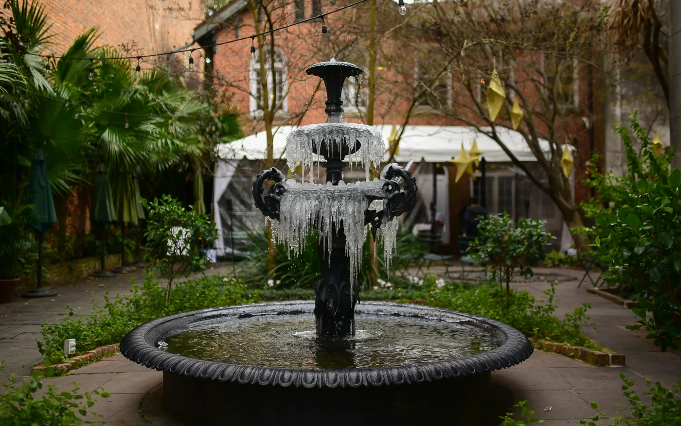 nola32.jpg
