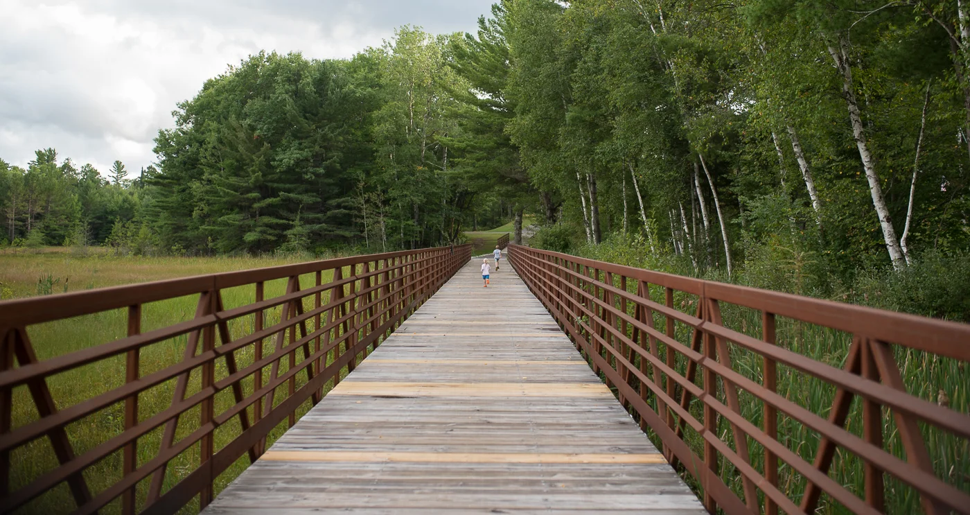 20180902image16.jpg