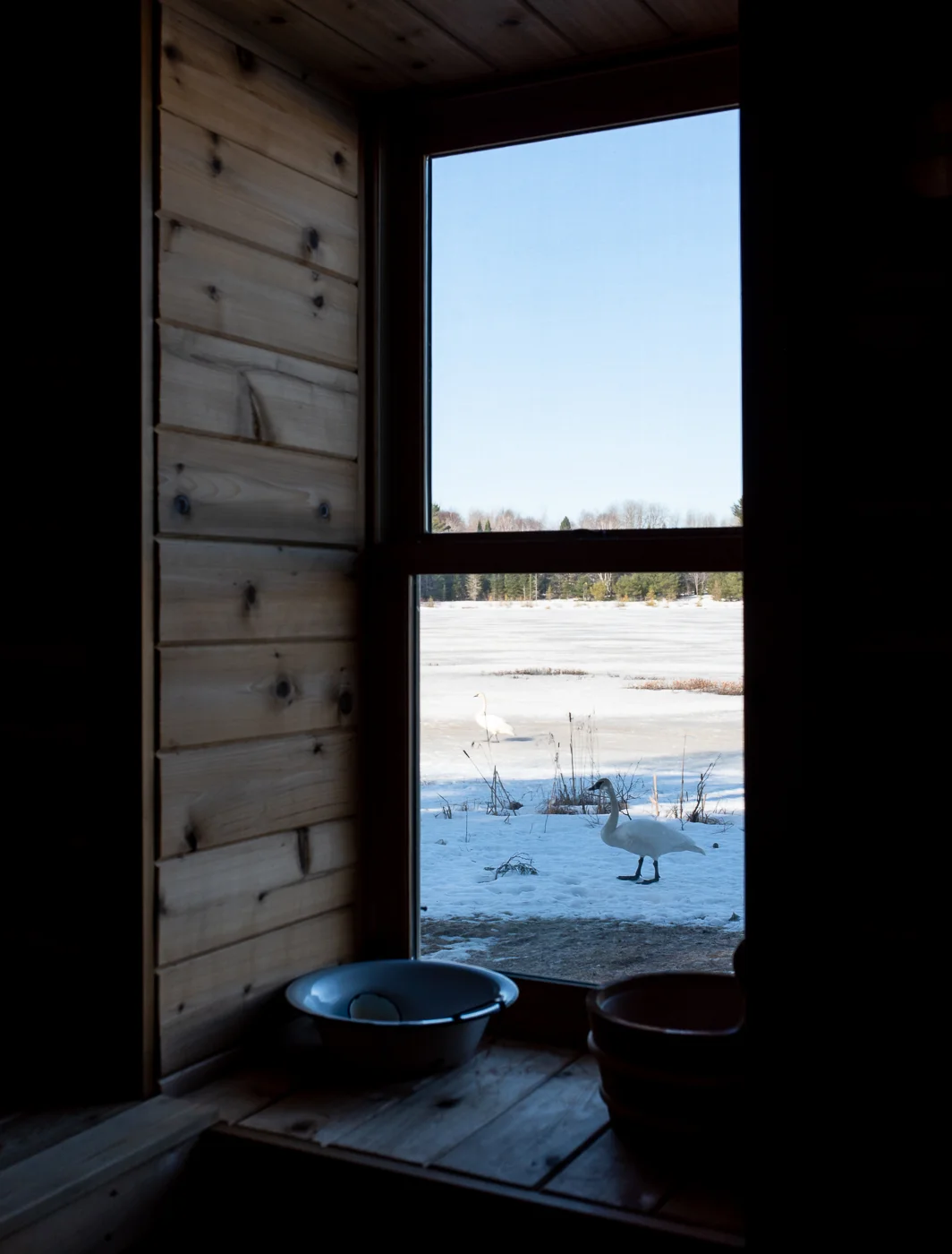 Presque Isle5.jpg