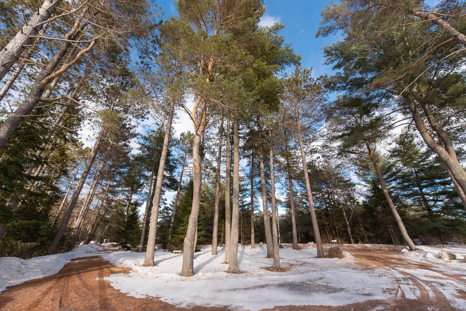 Presque Isle15.jpg