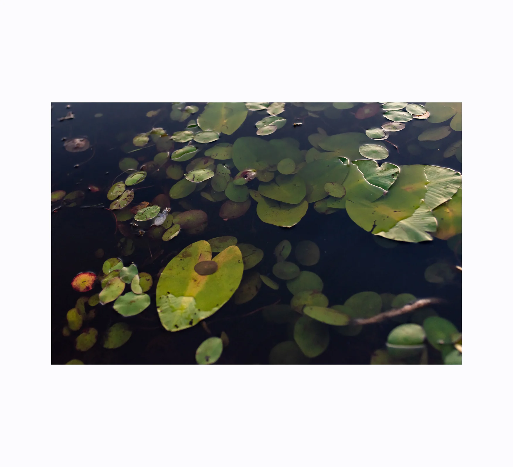 190824_6border.jpg