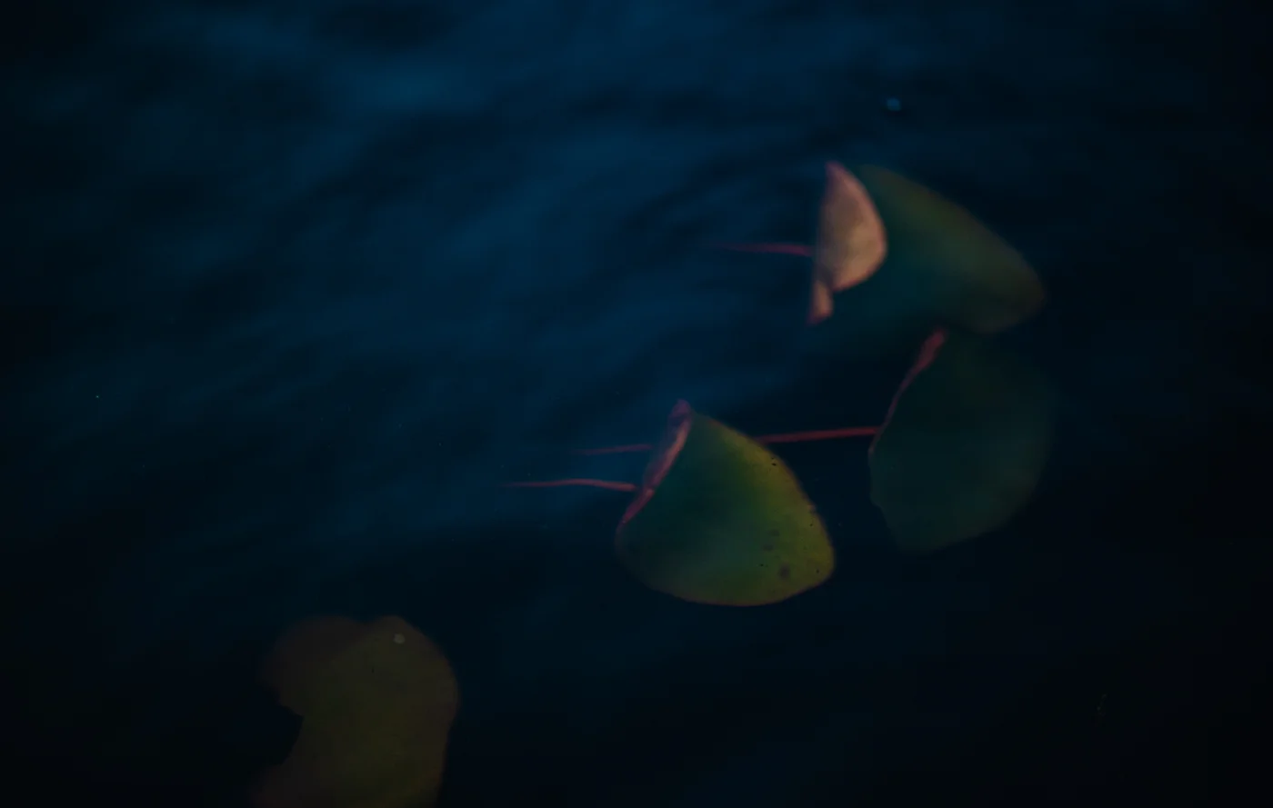 190824_13.jpg