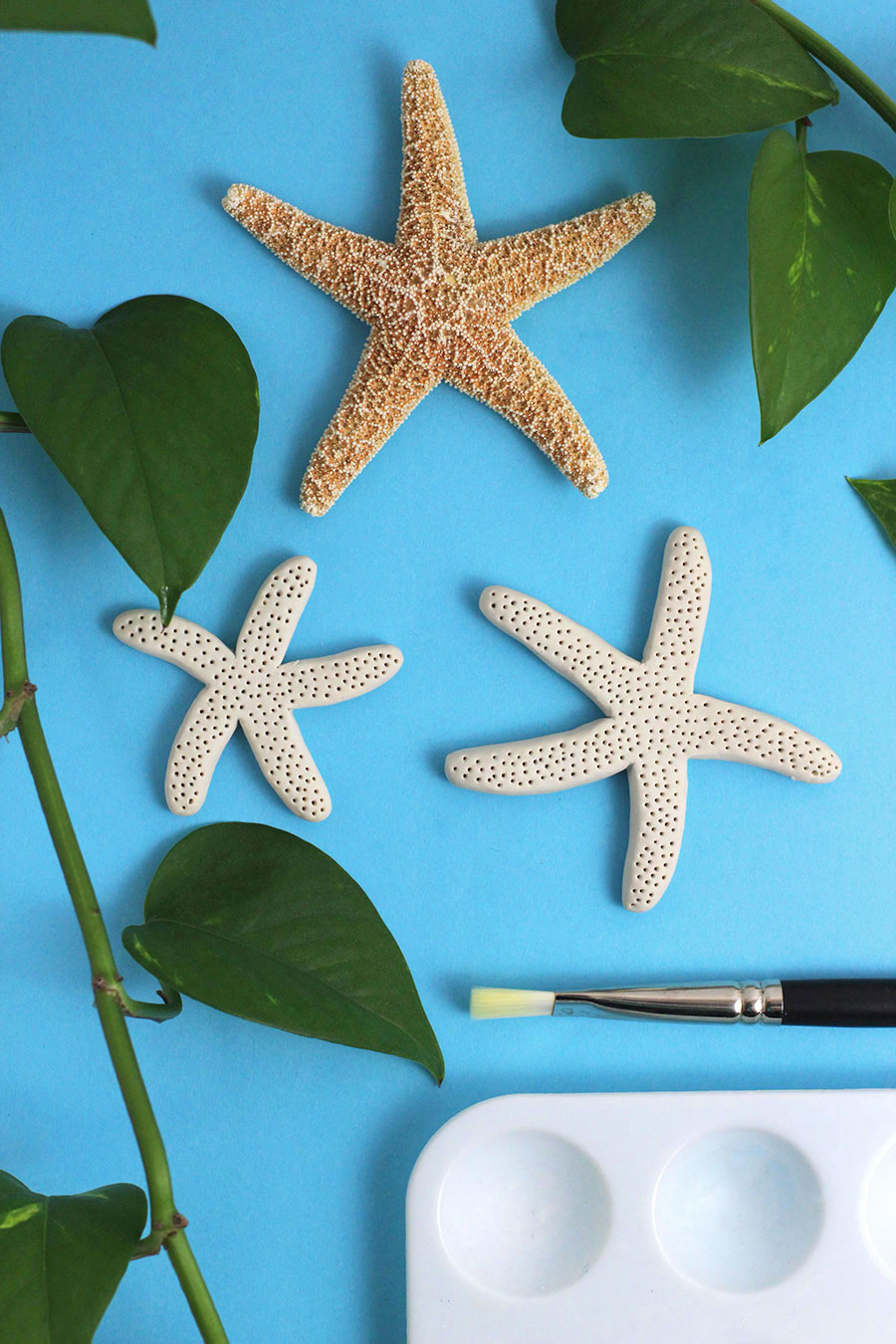 DIY: How to Make Faux Starfish — xFallenmoon