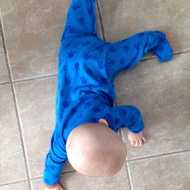 crawling baby.jpg