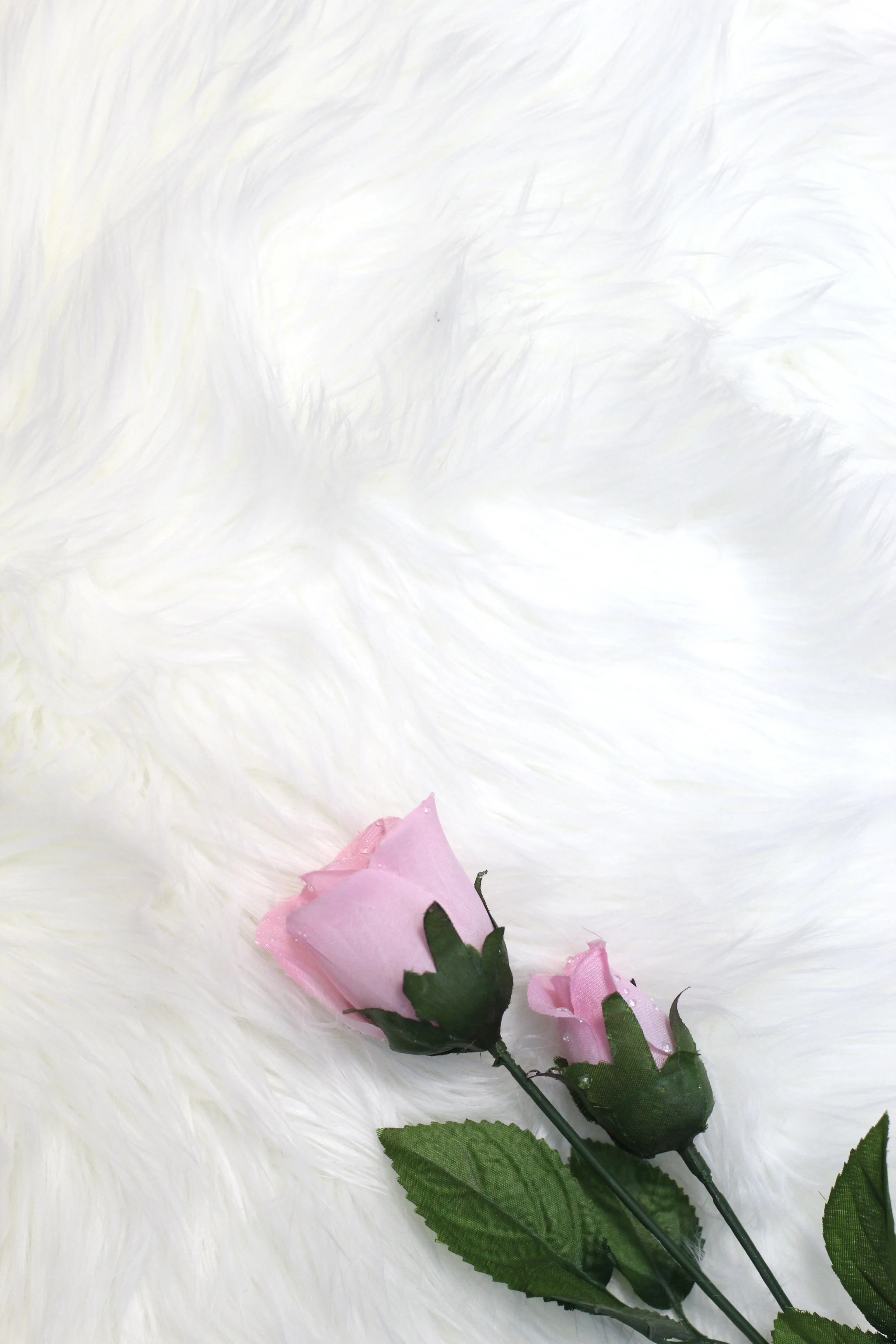 Magic &amp; Mystical Photo Stock