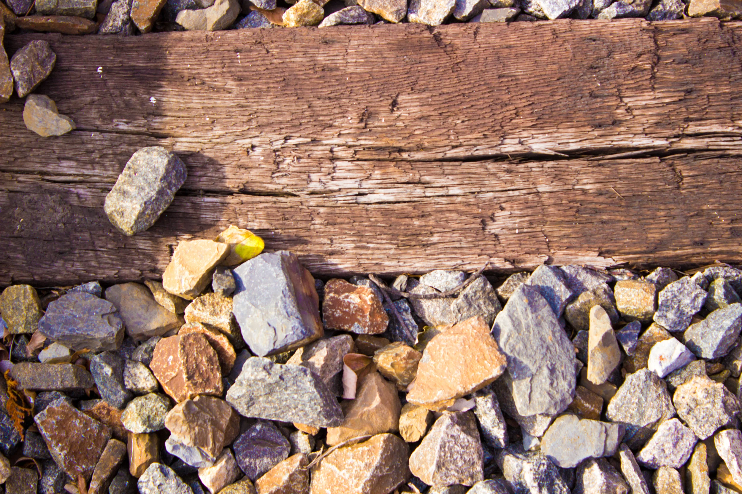 the tracks.jpg