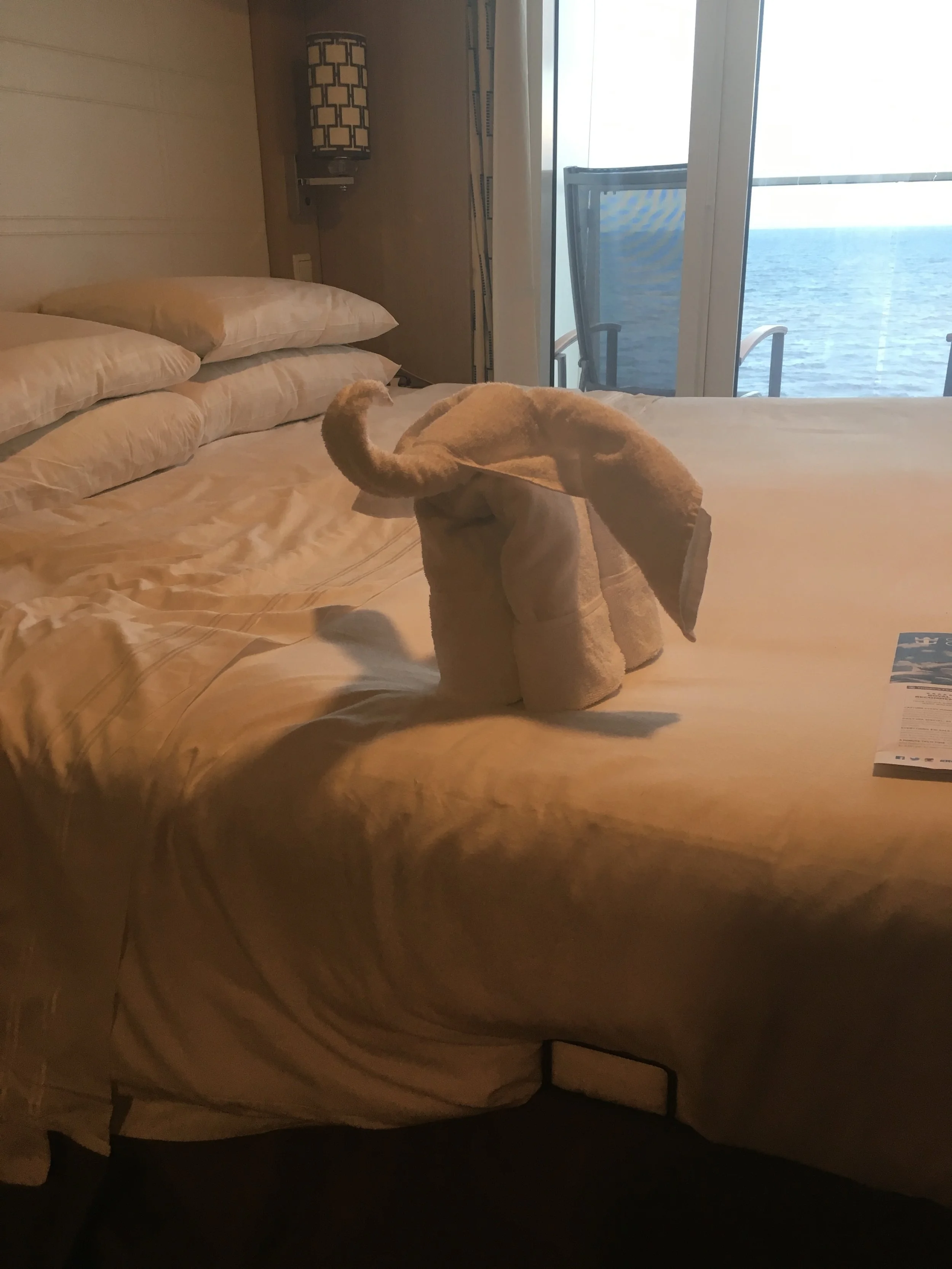2017 Cruise Vacation-16.JPG