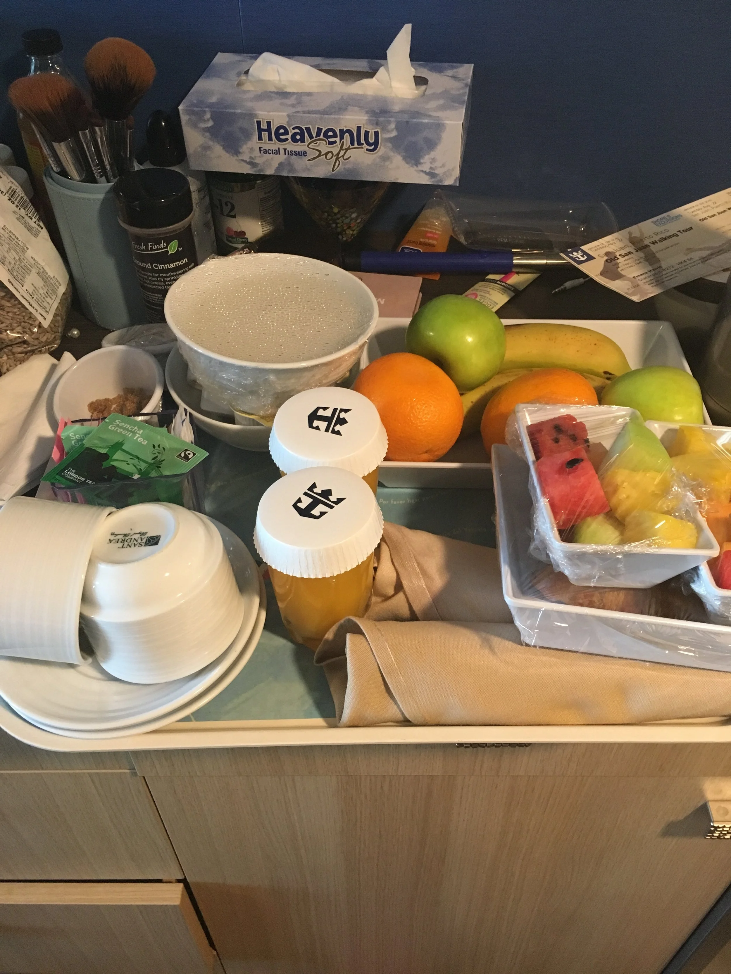 2017 Cruise Vacation-70.JPG