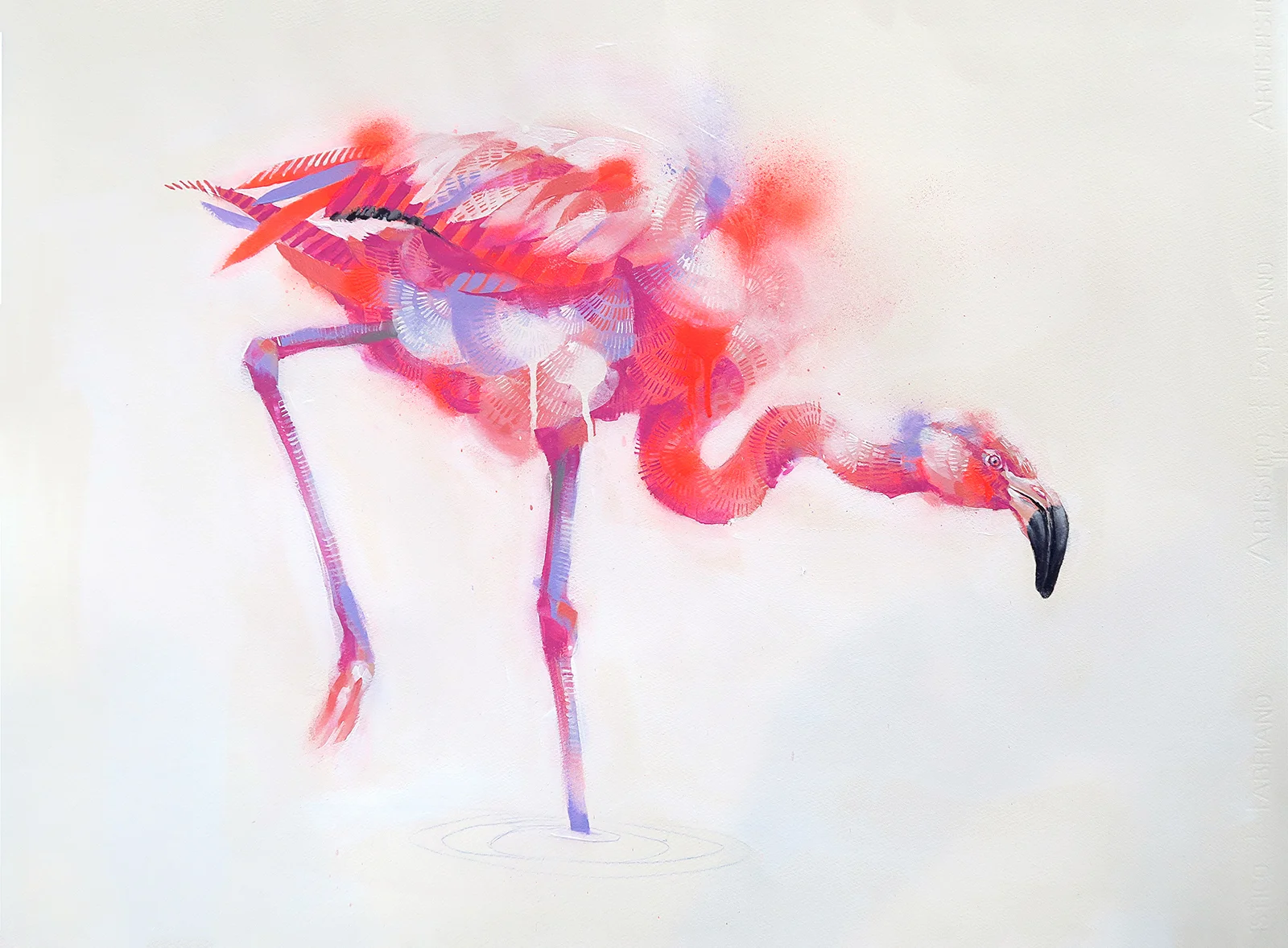 Flamingo Study 1