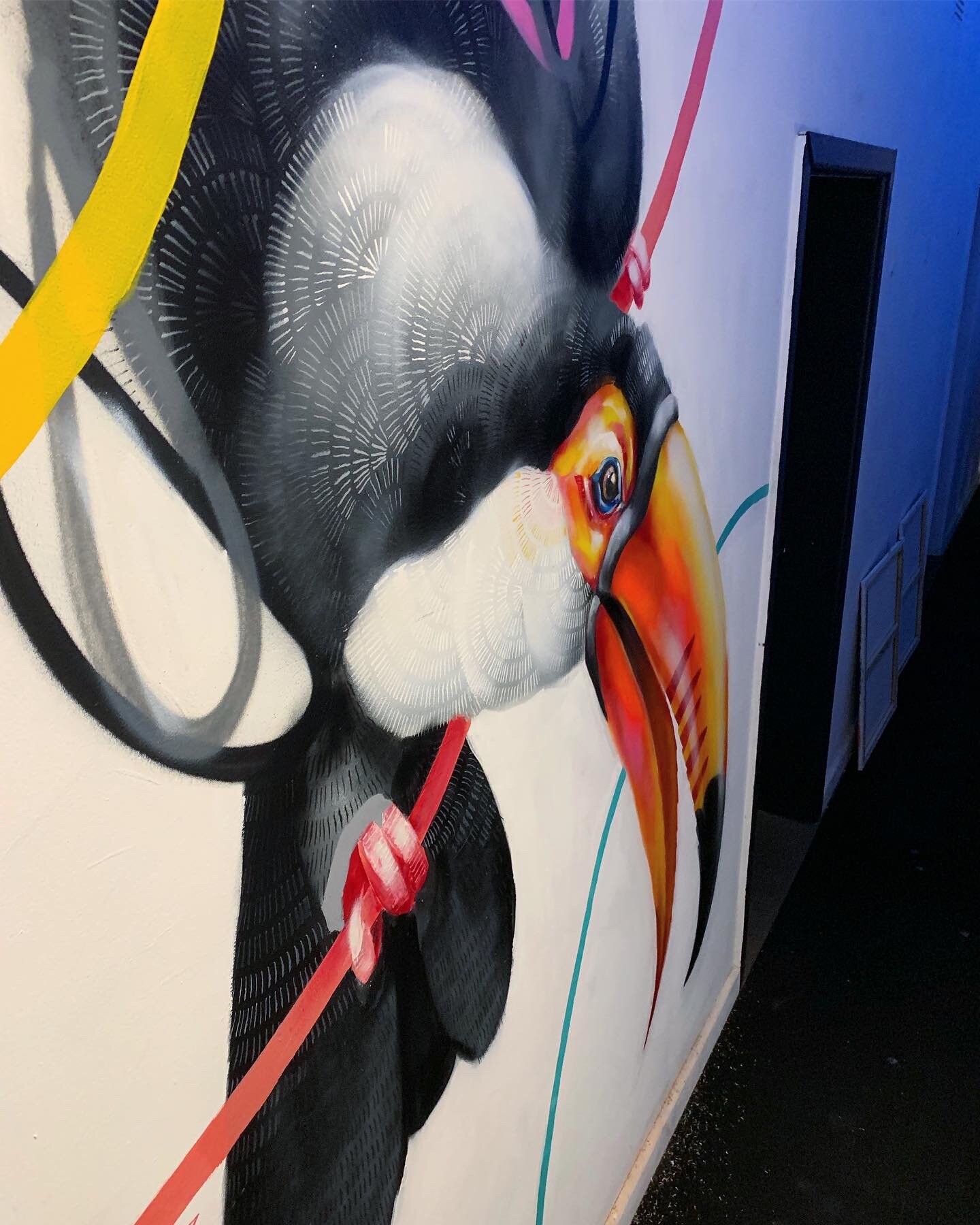 Toucan