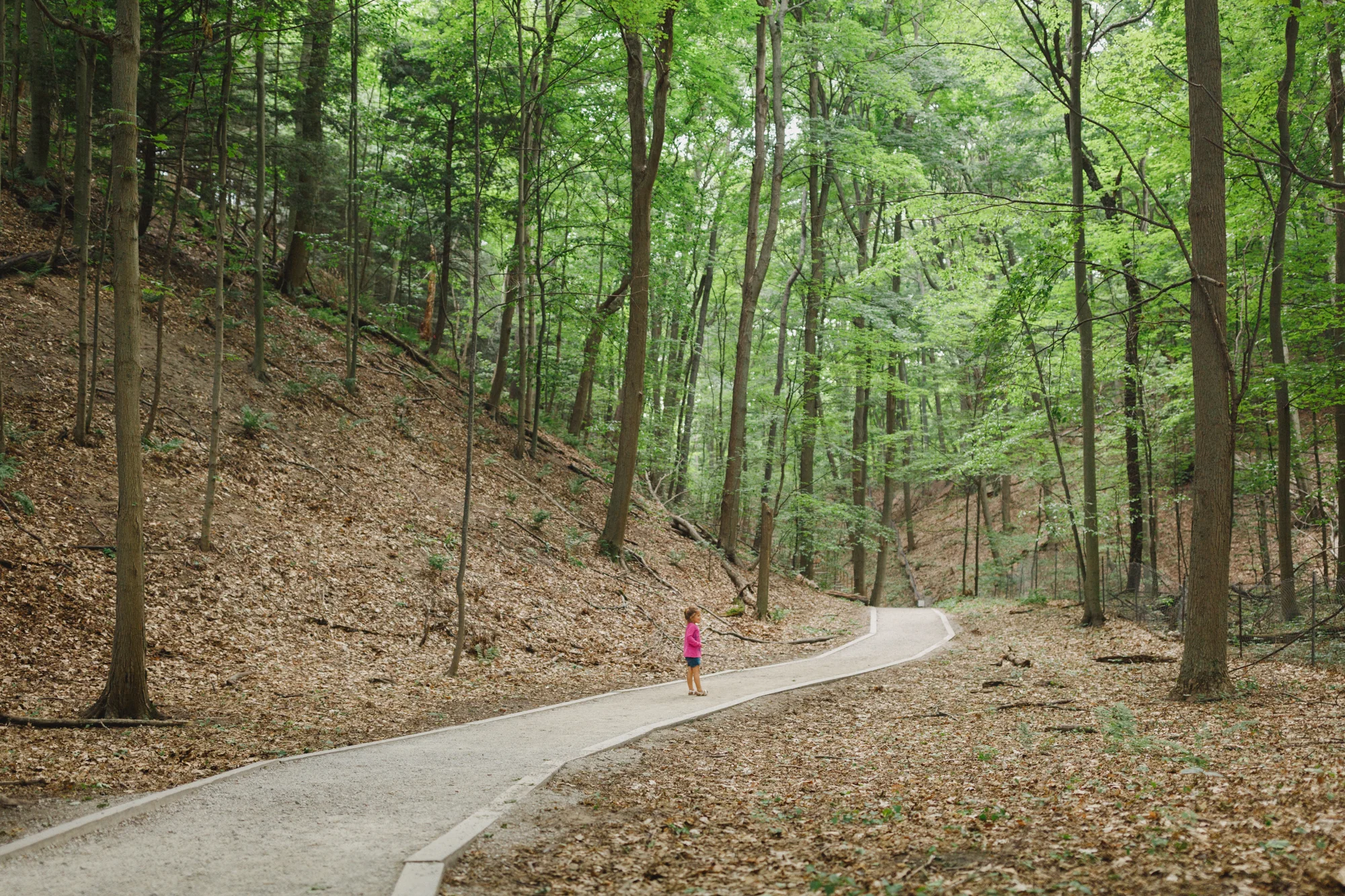 www.sarakrebsbach.com_rosy mound-5.jpg