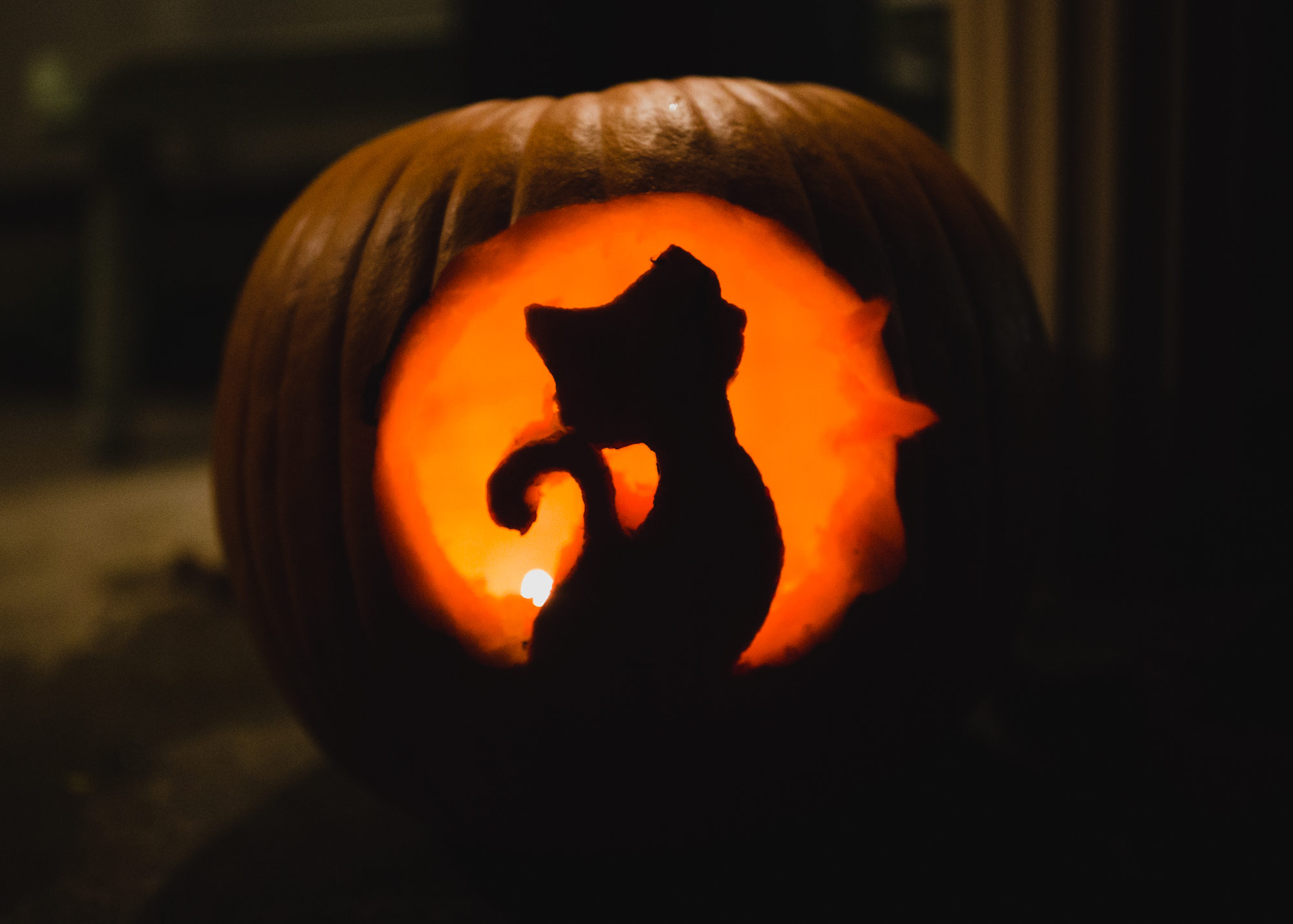 Halloween_2018-22.jpg