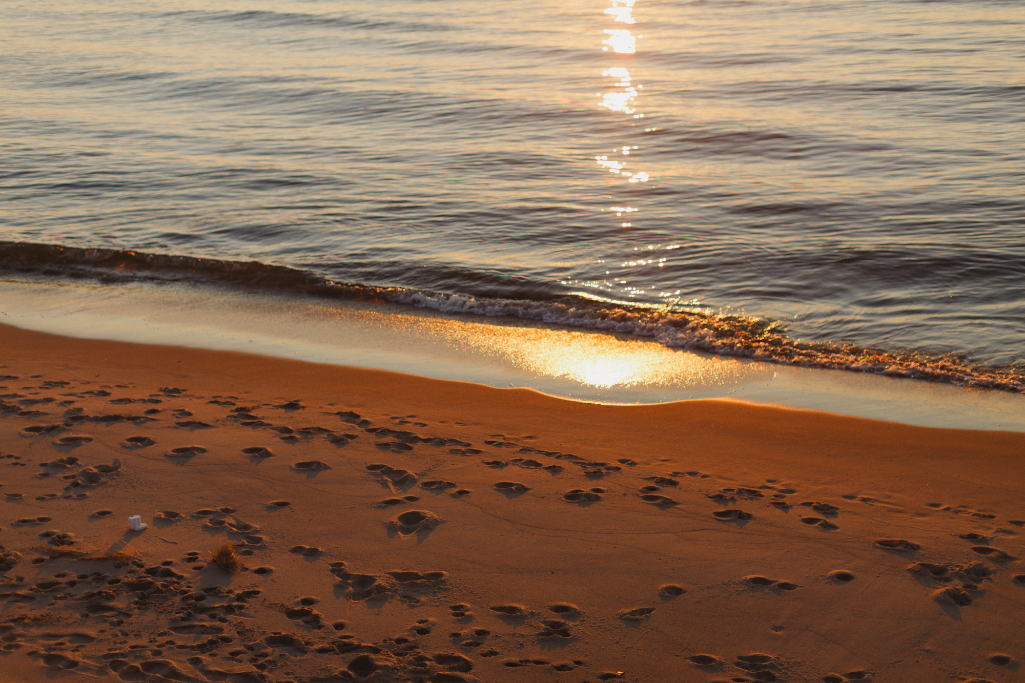 www.sarakrebsbach.com_kirk park beach-11.jpg