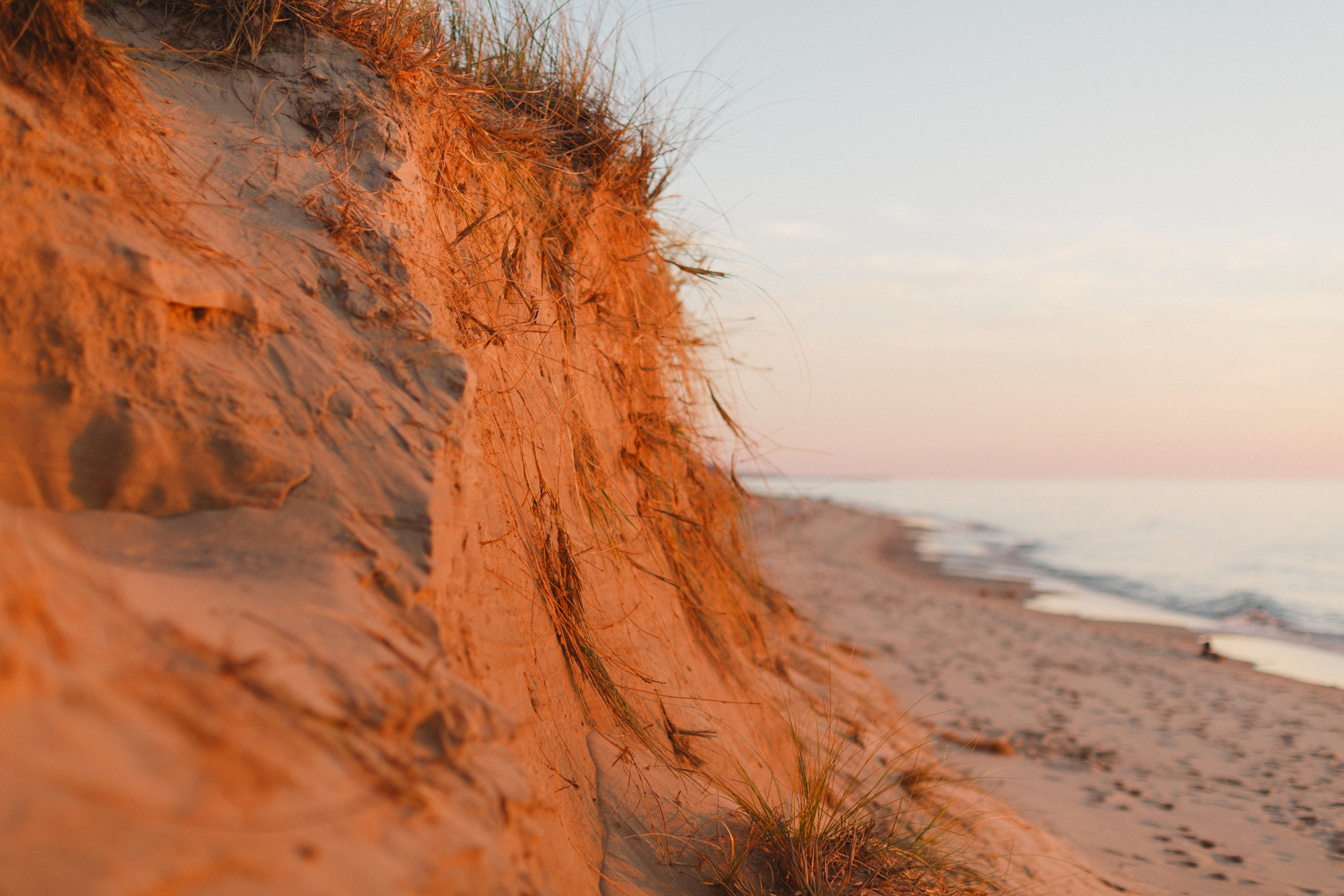 www.sarakrebsbach.com_kirk park beach-20.jpg