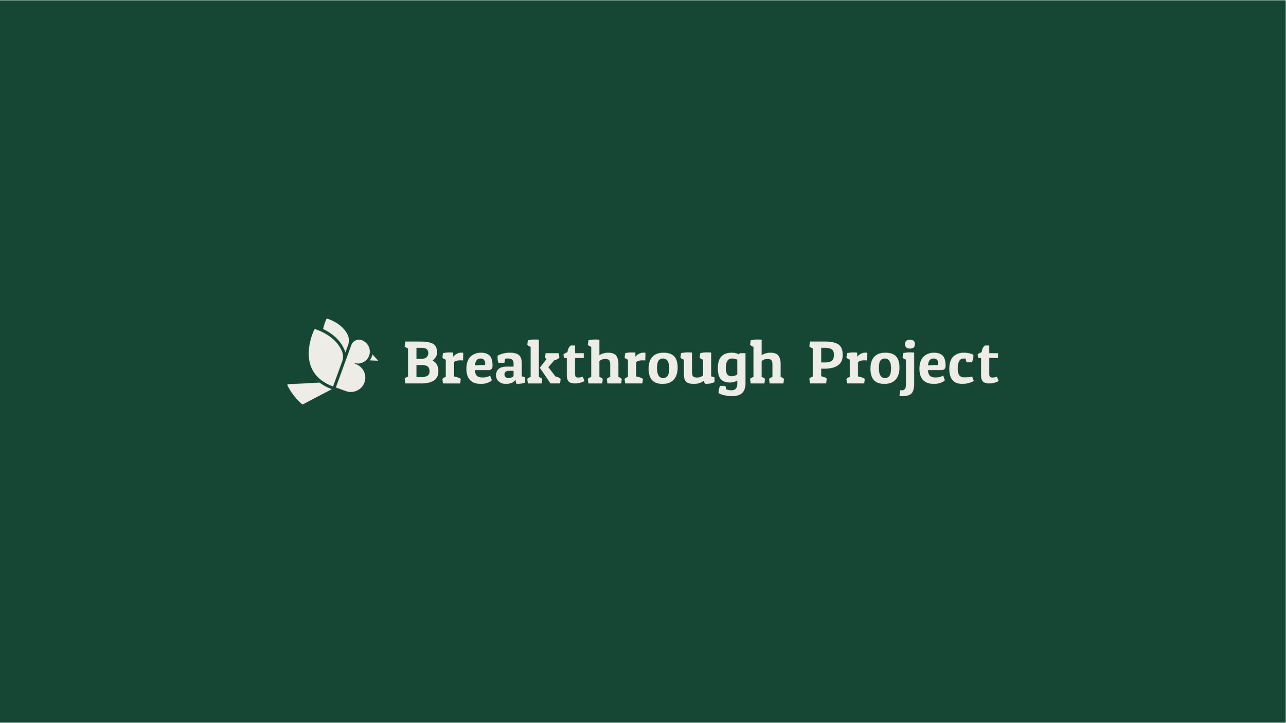 Portfolio_BTP_Layout-01.jpg