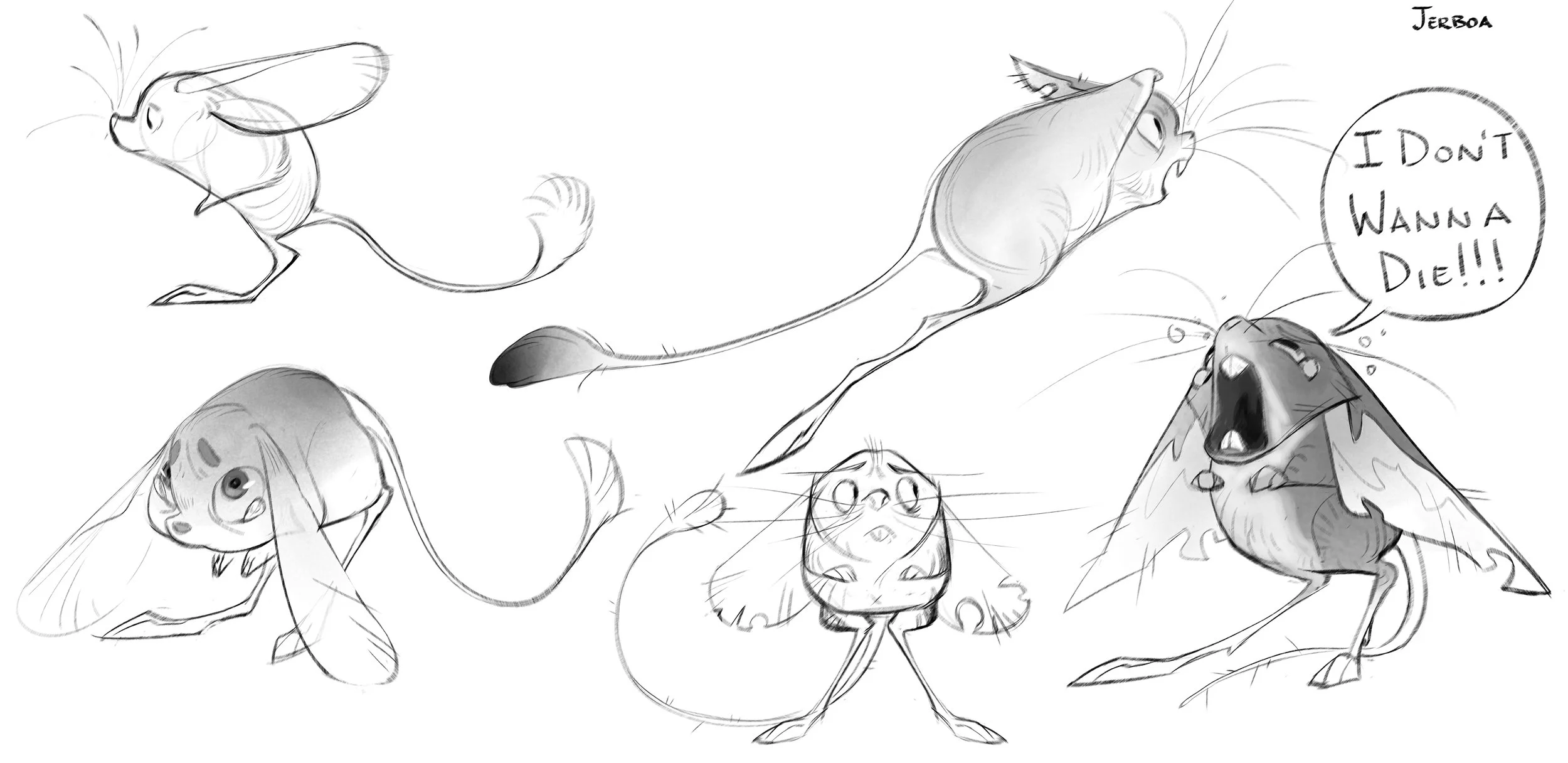 Jerboa.jpg