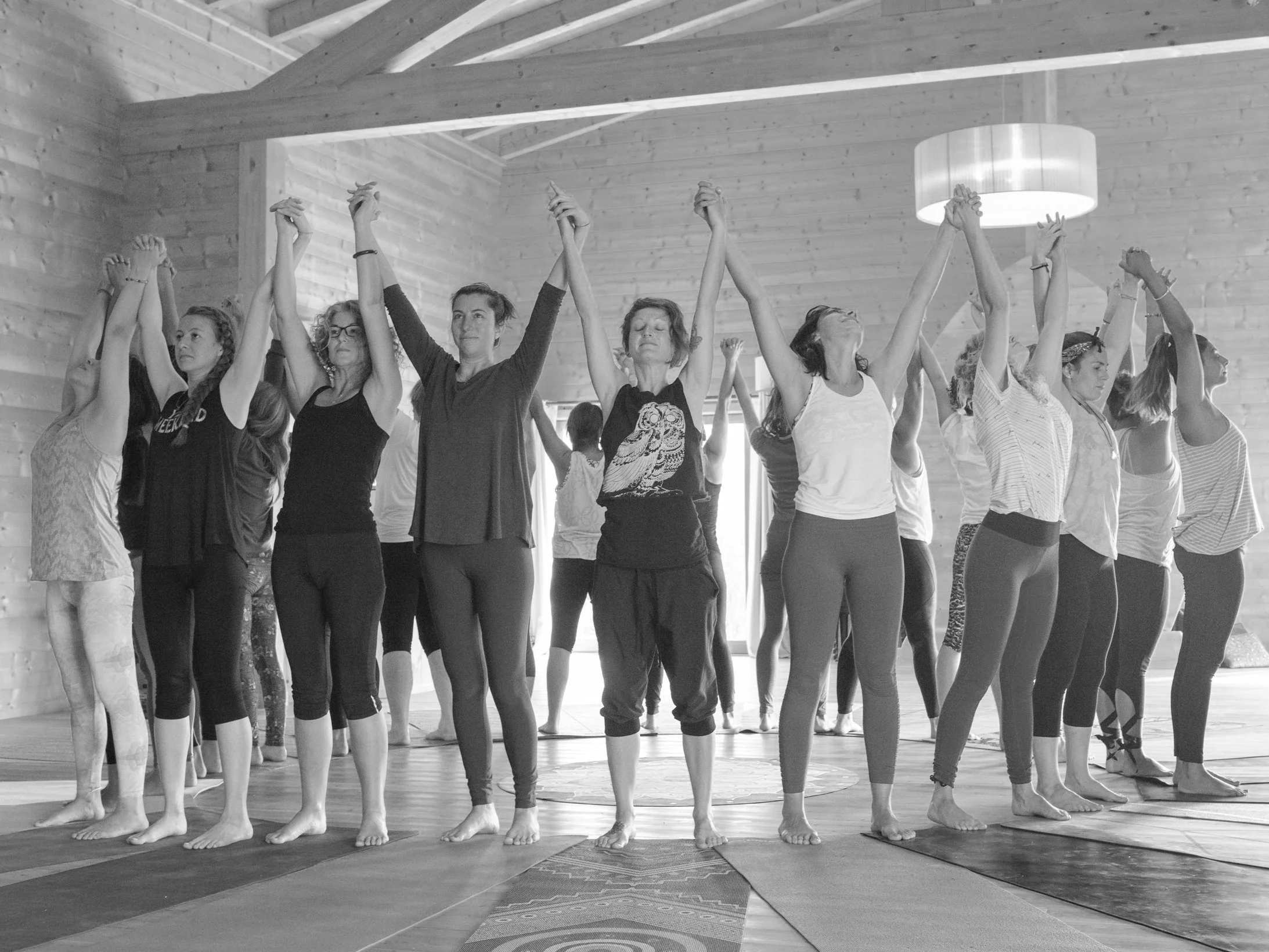 Wild Roots Dance & Yoga logo