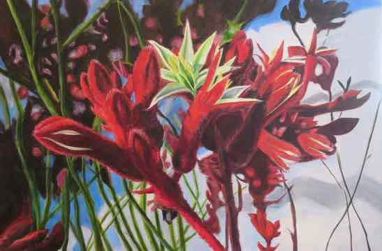 Kangaroo Paw Celebration