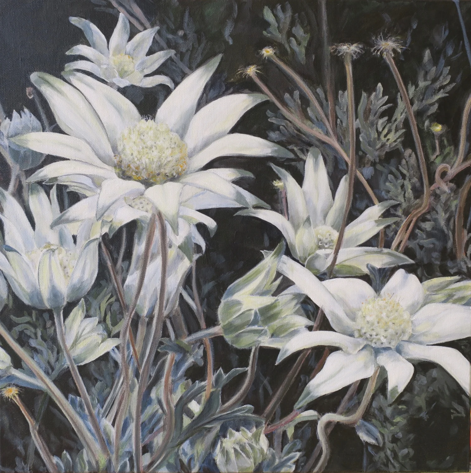 Flannel Flowers — Celia Moriarty Art