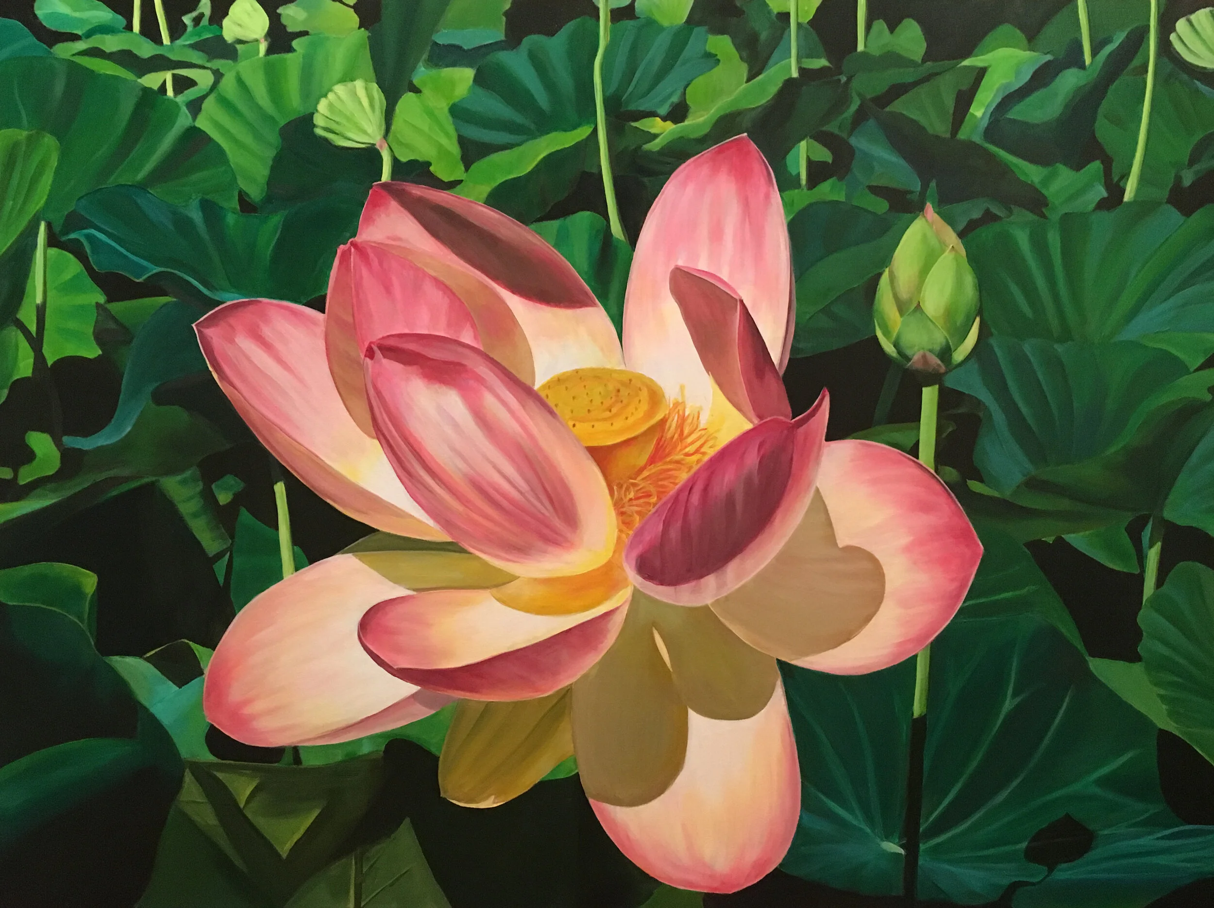 Bella Flora - The Beauty of Nature Jan 15 - Feb 05 2017