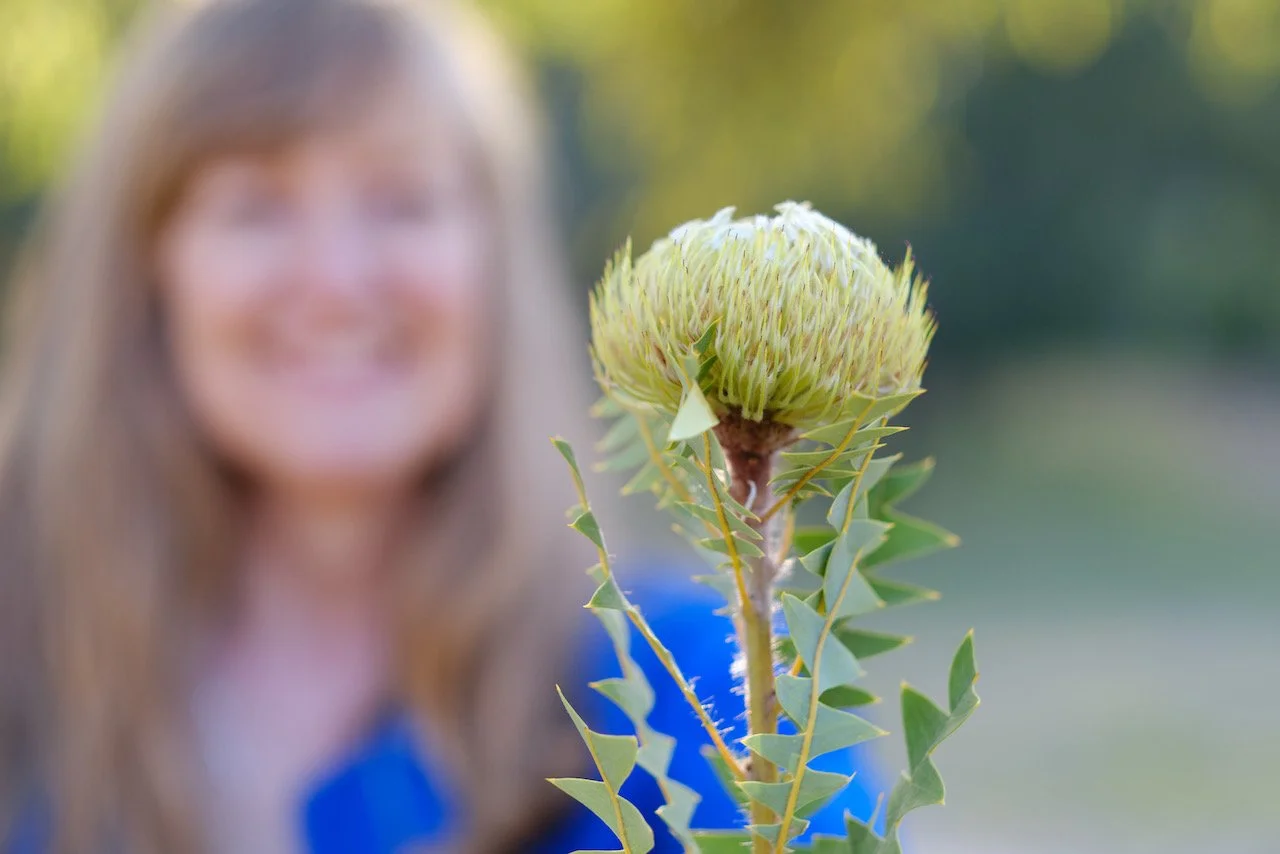 New Free Course Announcement and a little inspiration