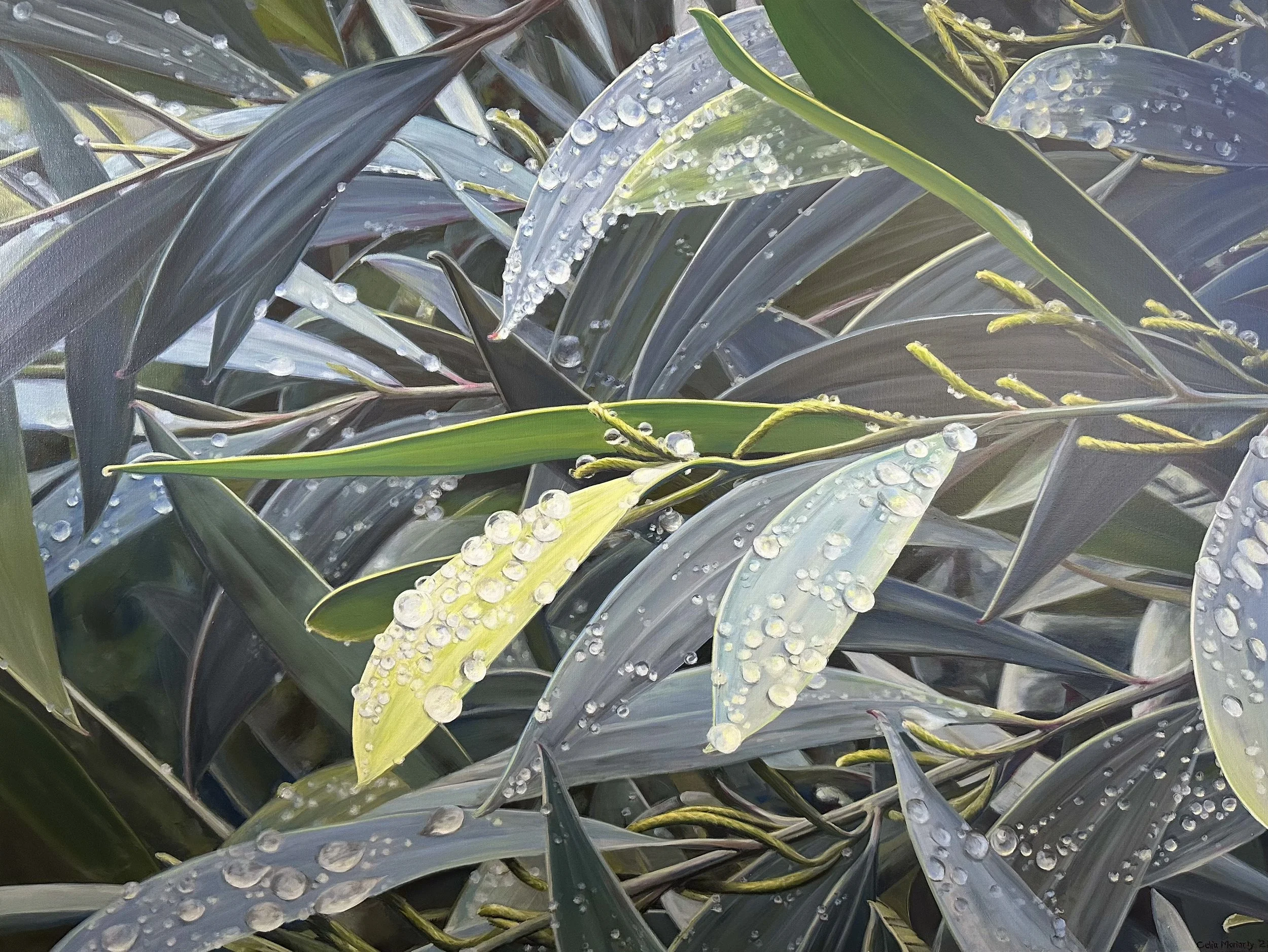 Coastal Myall 2022 Acrylic on thick edge canvas 121.5 x 91.7 cm Image courtesy of Celia Moriarty copy.jpeg