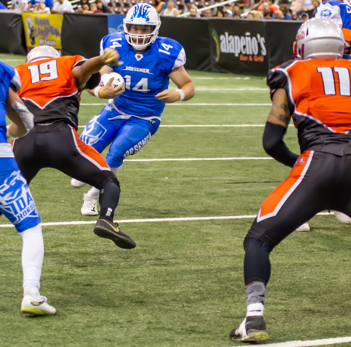 2019 season (412 of 499).JPG