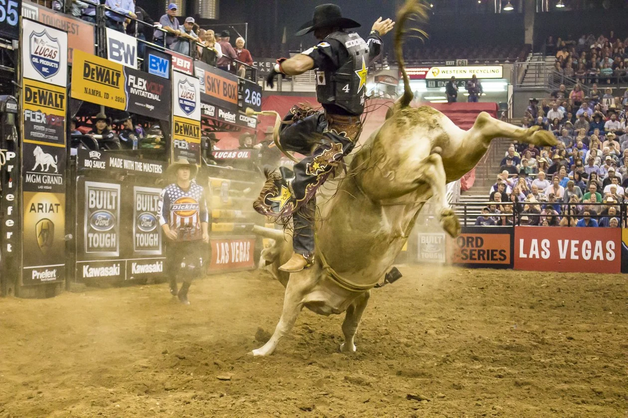 pbr-17.JPG