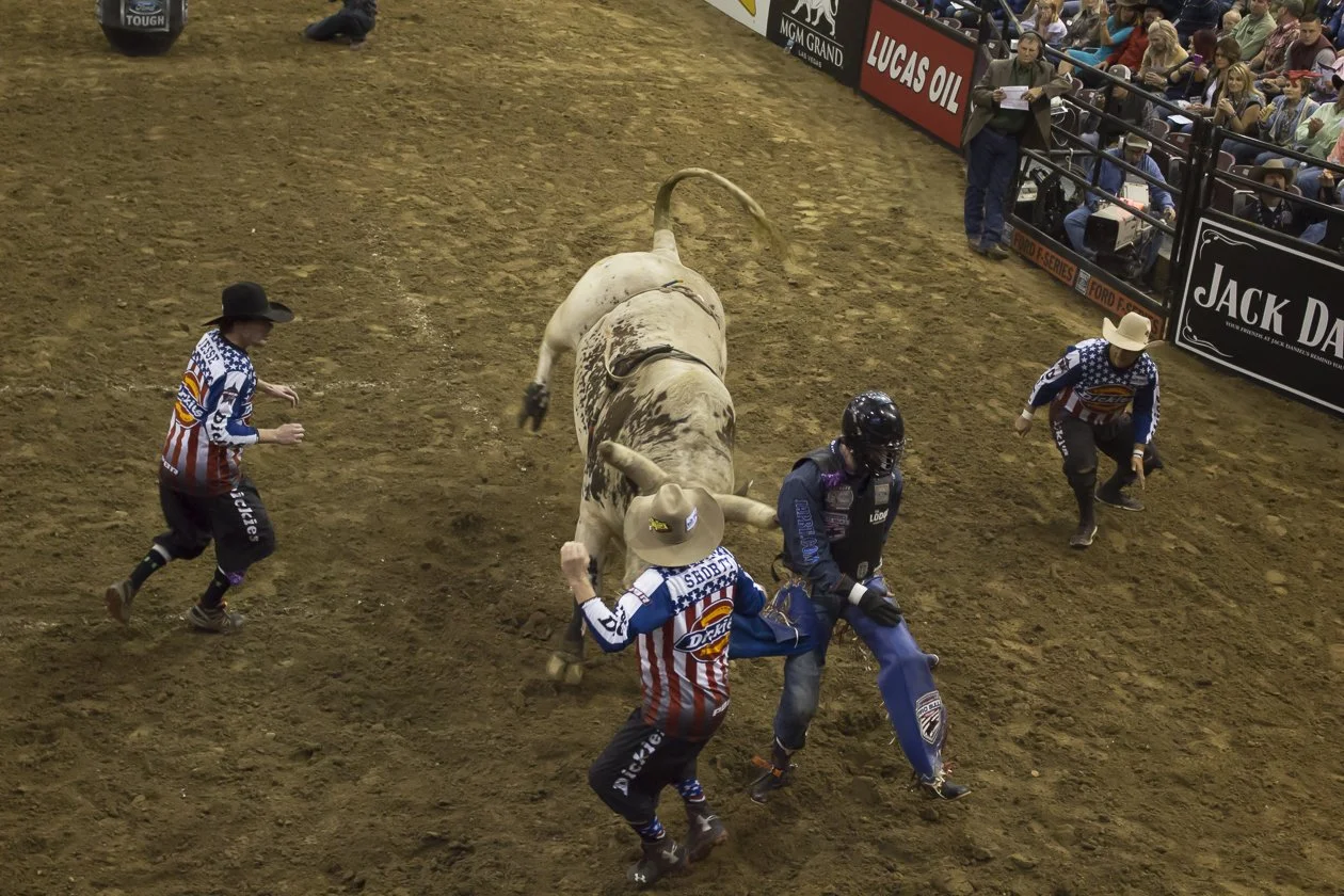 pbr-26.JPG