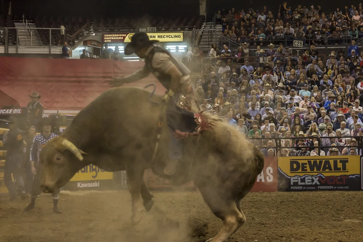 pbr-50.JPG