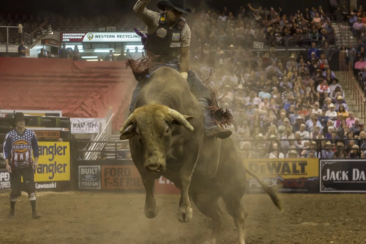 pbr-52.JPG